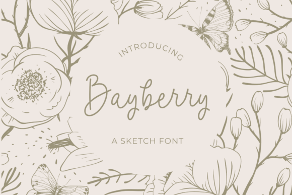 Bayberry: A Campaign Designer's Favorite Handwritten Font