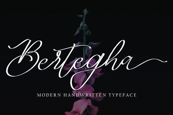 Elevate Your Design with Bertegha: A Versatile Script Font