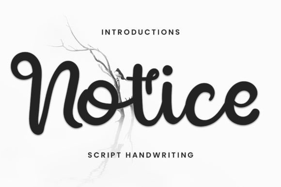 Notice: A Friendly Script Font for Modern Branding