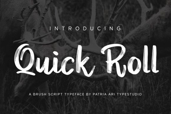 The Quick Roll Font: From Sketch to Brand Identity