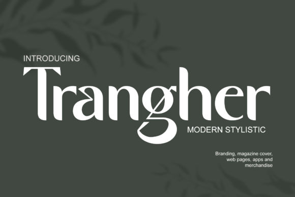Trangher: A Modern Stylistic Font for Digital Brand Impact