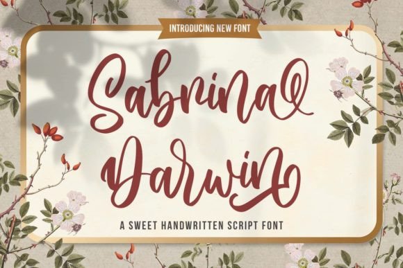 Transform Your Brand with Sabrina Darwin Font