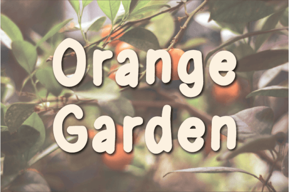 Why Orange Garden Font Captured My Editorial Attention