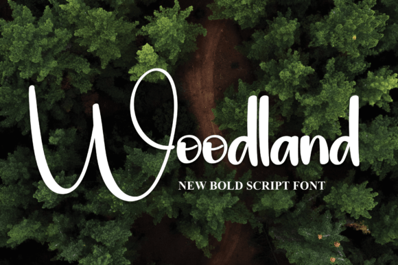 Woodland Font: A Bold Statement for Modern Marketing